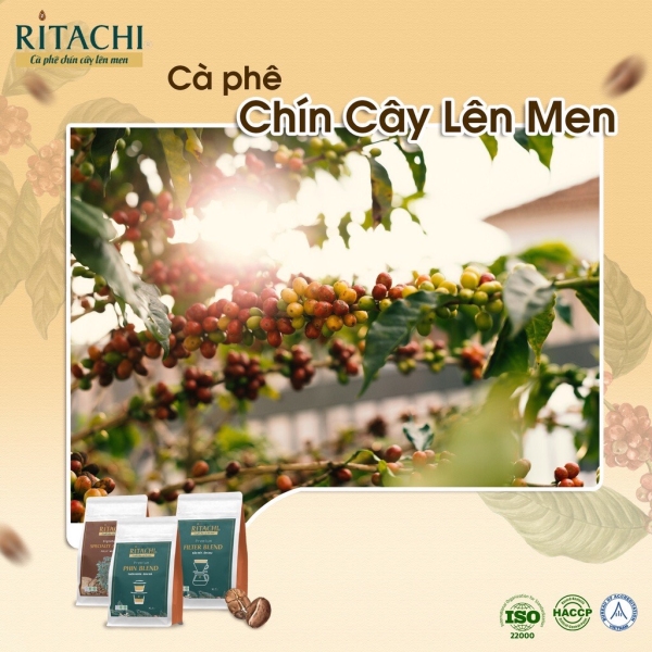 Cà phê rang xay Ritachi Coffee - Ritachi Coffee - Công Ty TNHH Nosavi